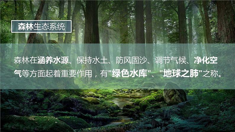 5.2.2 多种多样的生态系统(教学课件)-2022-2023学年八年级生命科学同步精品课堂(沪教版第二册)第6页