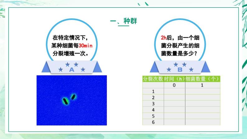 5.1.2+种群的数量变化规律及其应用（教学课件）-2022-2023学年八年级生命科学同步精品课堂（沪教版第二册）08