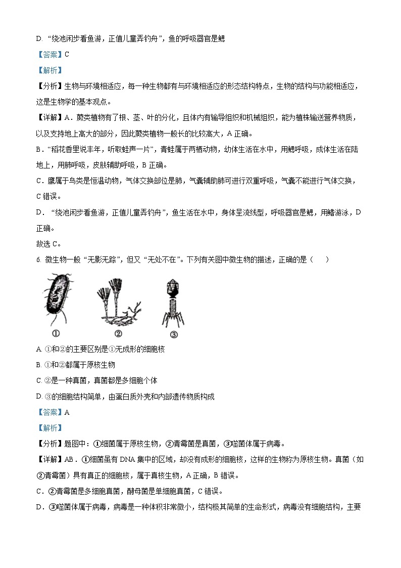 河南省周口市鹿邑县部分校2023-2024学年八年级上学期第二次月考生物试题03