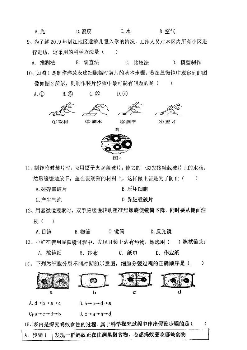 广东省湛江市第二十九中学2022--2023学年七年级上学期期中测试生物试题02