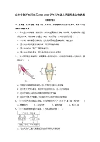 山东省临沂市河东区2023-2024学年八年级上学期期末生物试卷