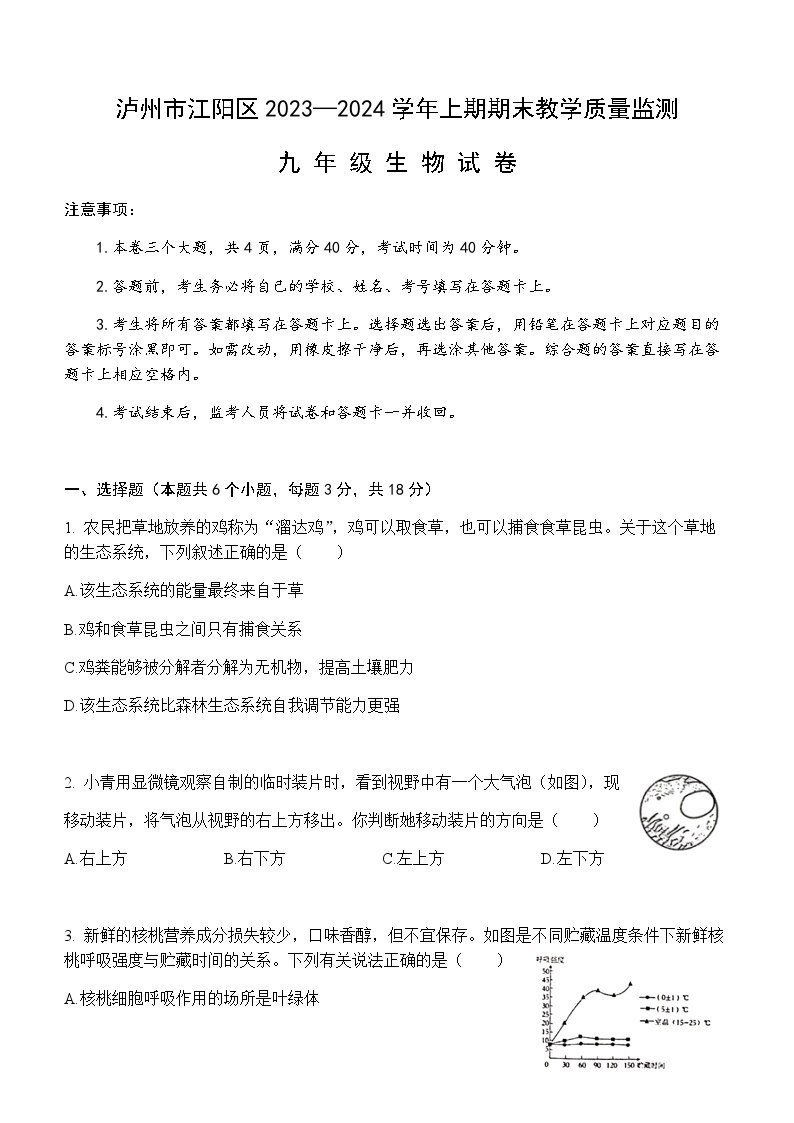 四川省泸州市江阳区2023-2024学年九年级上学期期末考试生物试题（含答案）