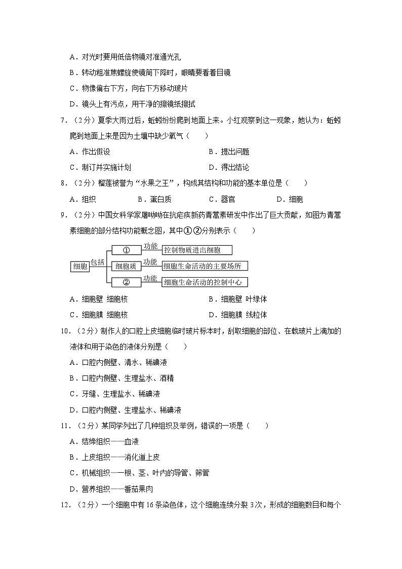 云南省文山州马关县2023-2024学年七年级上学期期末生物试卷第2页