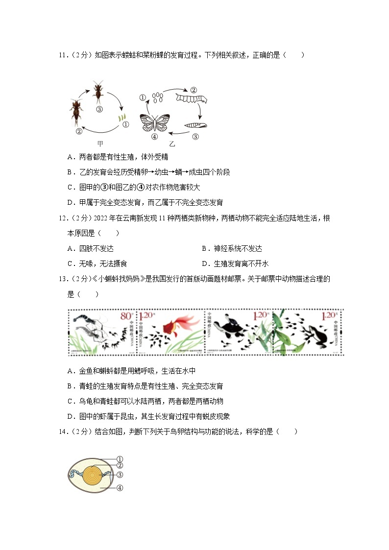 湖南省娄底市2023-2024学年九年级上学期期末生物试卷03