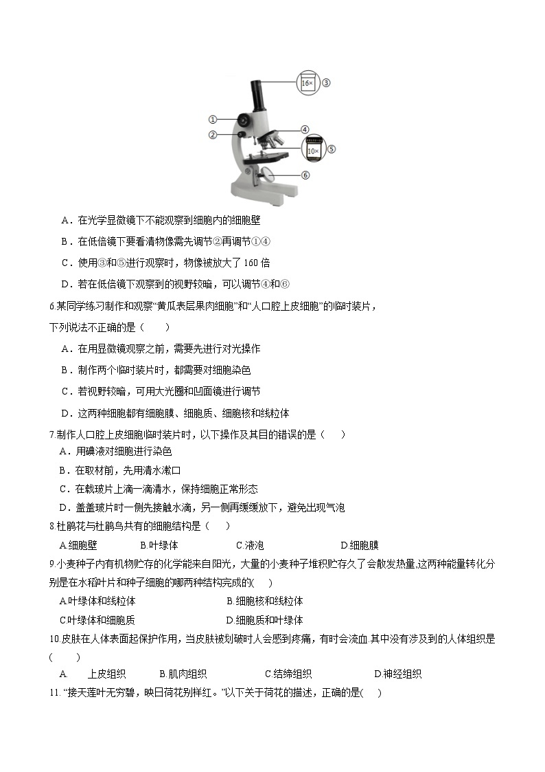 【开学摸底考】七年级生物（四川成都专用）-2023-2024学年初中下学期开学摸底考试卷.zip02