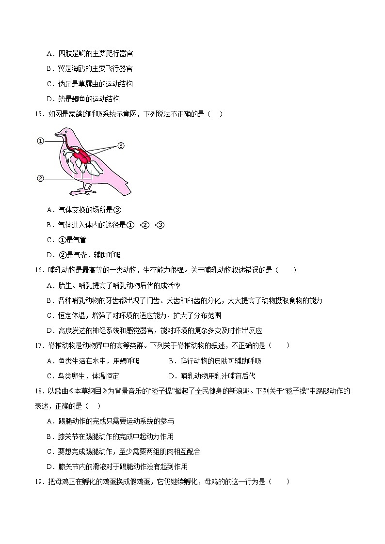八年级生物开学摸底考(广东专用)(试卷版)第3页