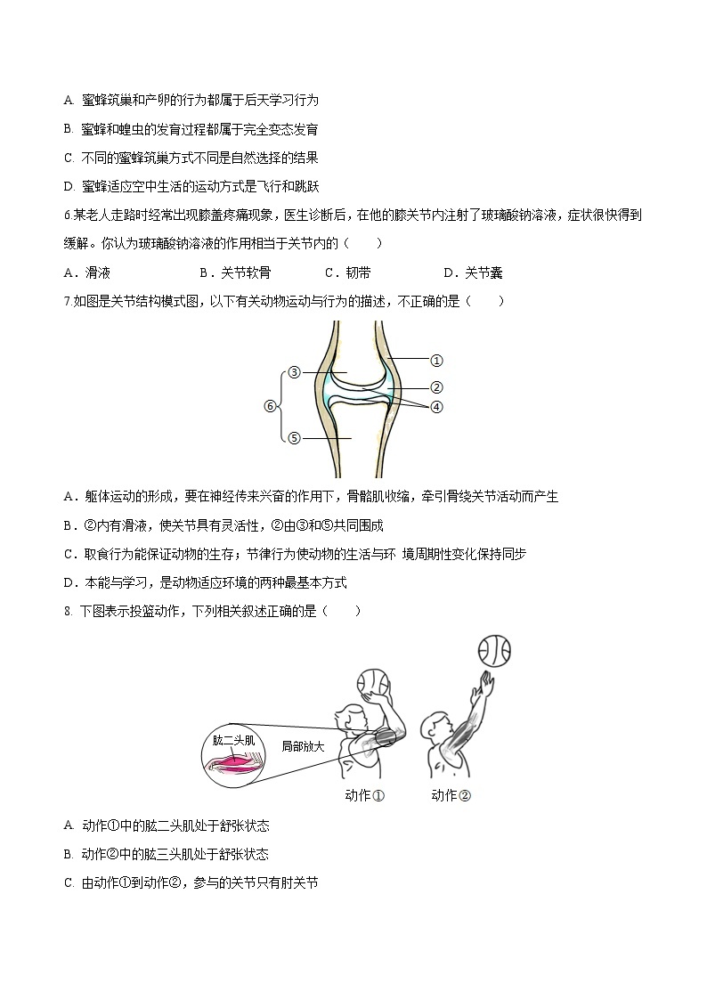 【开学摸底考】八年级生物（湖北专用）-2023-2024学年初中下学期开学摸底考试卷.zip02