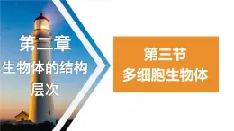 1.2.3多细胞生物体课件+-2023-2024学年冀少版生物七年级上册