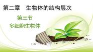 生物七年级上册第一单元  我们身边的生命世界第二章  生物体的结构层次第三节 多细胞生物体集体备课课件ppt