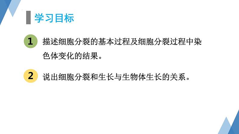 1.2.1+细胞——细胞的生长与分裂课件+2023-2024学年冀少版生物七年级上册第2页