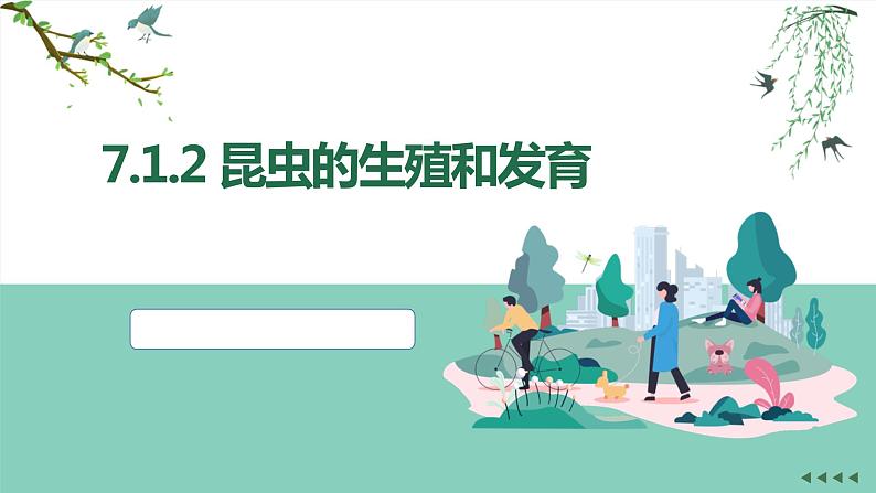 +7.1.2+昆虫的生殖和发育++课件2023--2024学年人教版生物八年级下册第5页
