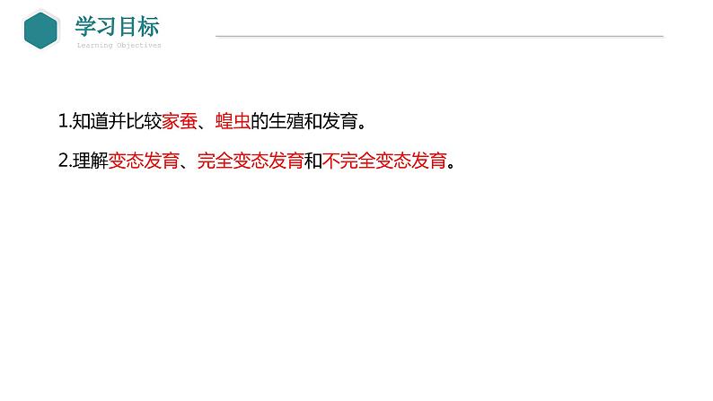 +7.1.2+昆虫的生殖和发育++课件2023--2024学年人教版生物八年级下册第6页