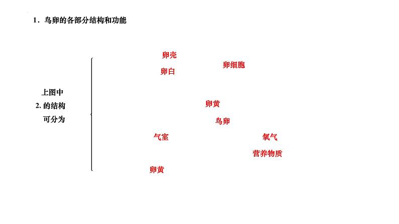 7.1.4+鸟的生殖和发育课件2023--2024学年人教版生物八年级下册 - 副本第3页