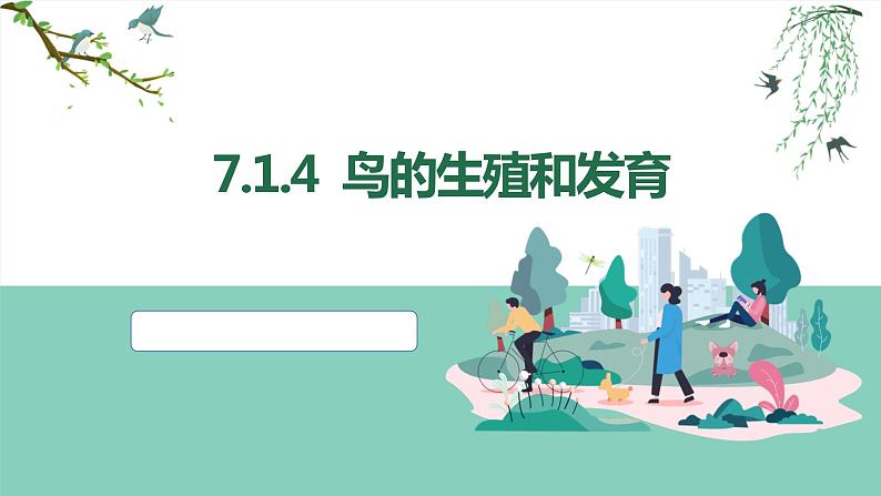 7.1.4+鸟的生殖和发育课件2023--2024学年人教版生物八年级下册 - 副本第6页
