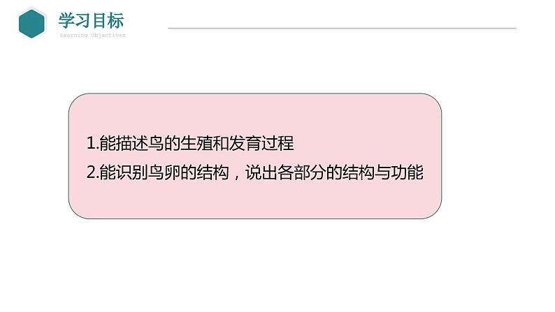 7.1.4+鸟的生殖和发育课件2023--2024学年人教版生物八年级下册 - 副本第7页
