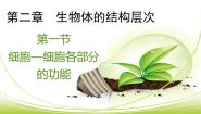 初中冀少版第三节 多细胞生物体授课ppt课件