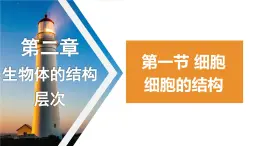 1.2.1-2细胞的结构课件+2023-2024学年冀少版生物七年级上册