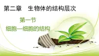 初中生物第二节 细胞分化形成组织图片ppt课件