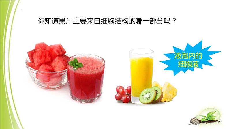 1.2.1-2细胞的结构课件+2023-2024学年冀少版生物七年级上册 (1)08