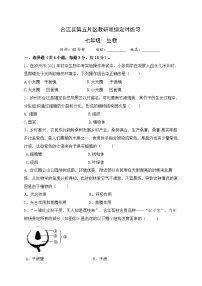 四川省泸州市合江县第五片区2021-2022学年七年级上学期联合考试生物试题(月考)
