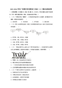 廣西梧州市蒼梧縣2023-2024學(xué)年八年級上學(xué)期期末生物試卷