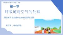 初中生物人教版 (新課標(biāo))七年級下冊第一節(jié) 呼吸道對空氣的處理公開課教學(xué)課件ppt