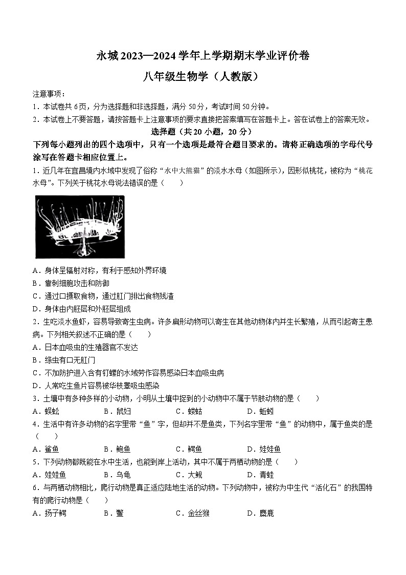 15,河南省永城市2023-2024学年八年级上学期期末生物试题()01