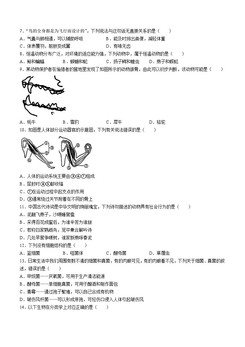 15,河南省永城市2023-2024学年八年级上学期期末生物试题()02