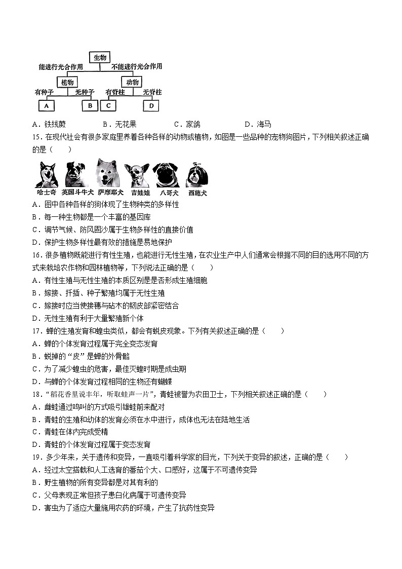 15,河南省永城市2023-2024学年八年级上学期期末生物试题()03