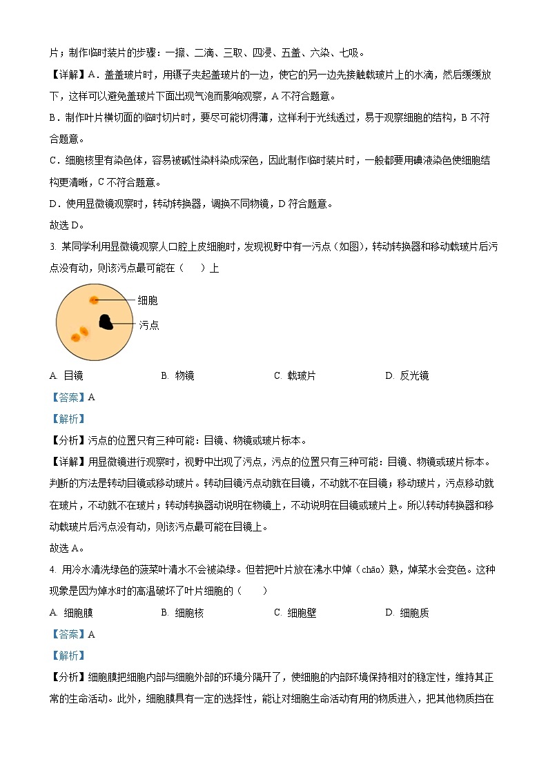 18，重庆市巴南区实验教育集团2023-2024学年七年级上学期期中生物试题02