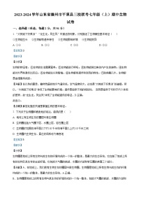 山东省德州市平原县三校联考2023-2024学年七年级上学期期中生物试题