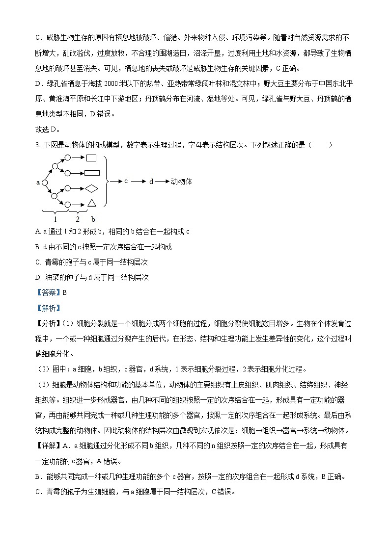 山东省菏泽市鲁西新区2023-2024学年九年级上学期期中生物试题02