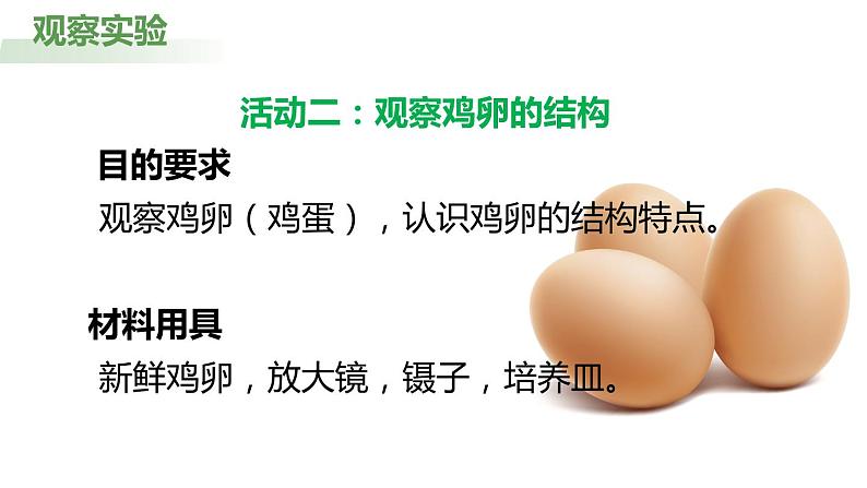 7.1.4 鸟的生殖与发育(课件)-2023-2024学年人教版生物八年级下册07