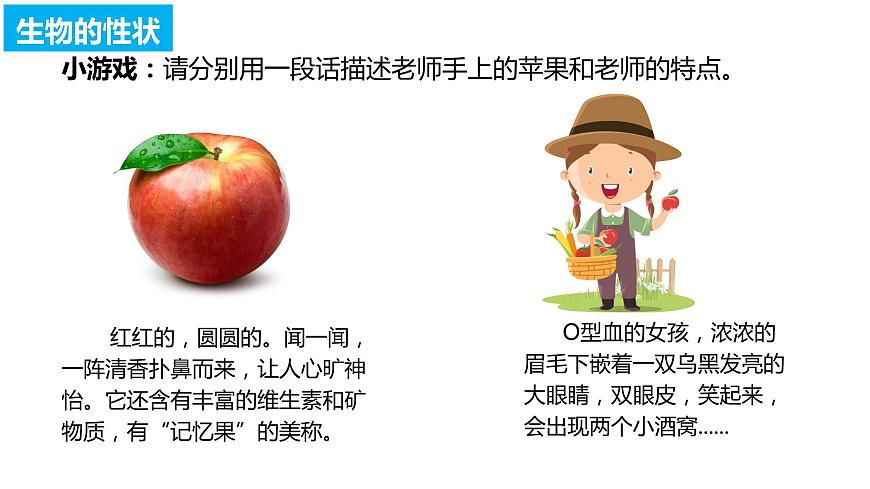 7.2.1基因控制生物的性狀（課件)-2023-2024學年人教版生物八年級下冊第6頁