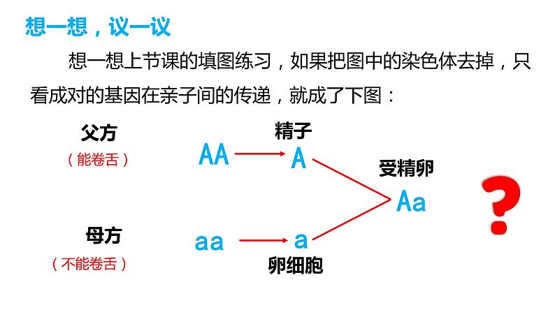 7.2.3 基因的显性和隐性(课件)-2023-2024学年人教版生物八年级下册03