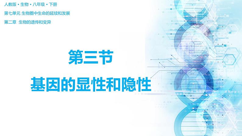 7.2.3 基因的显性和隐性(课件)-2023-2024学年人教版生物八年级下册04