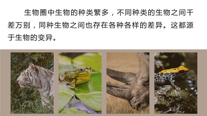 7.2.5 生物的变异(课件)-2023-2024学年人教版生物八年级下册06