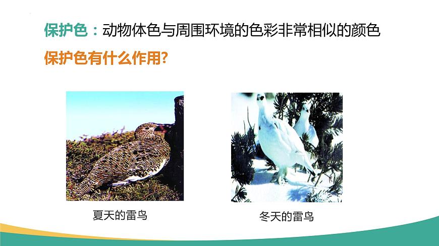 7.3.3 生物進(jìn)化的原因(課件)-2023-2024學(xué)年人教版生物八年級(jí)下冊(cè)第8頁(yè)