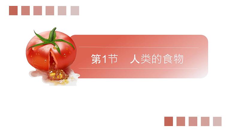 8.1 人类的食物(课件)2023--2024学年北师大版生物七年级下册第1页