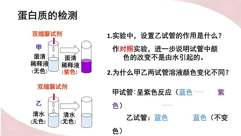 8.1 人类的食物(课件)2023--2024学年北师大版生物七年级下册第4页