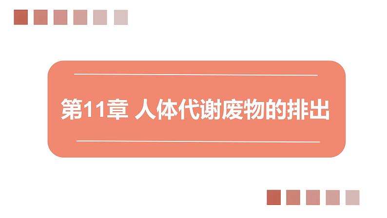 11.1 人体产生的代谢废物(课件)2023--2024学年北师大版生物七年级下册第1页