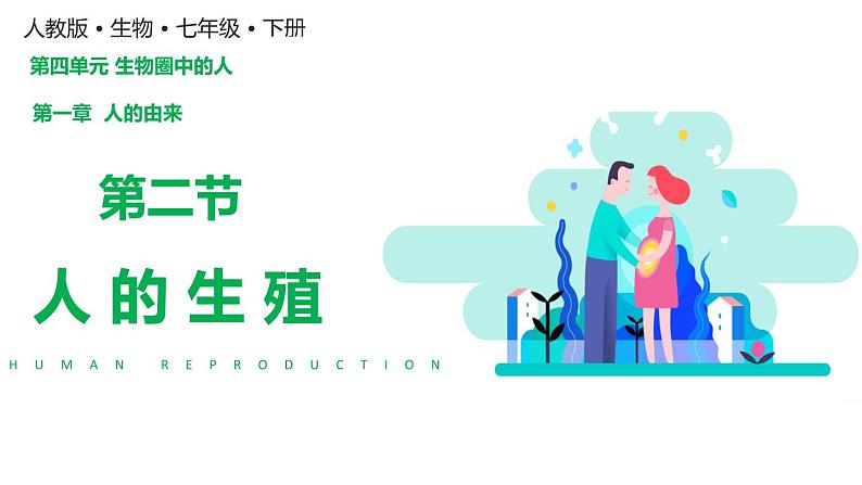 4.1.2人的生殖(课件)2023--2024学年人教版生物七年级下册第2页