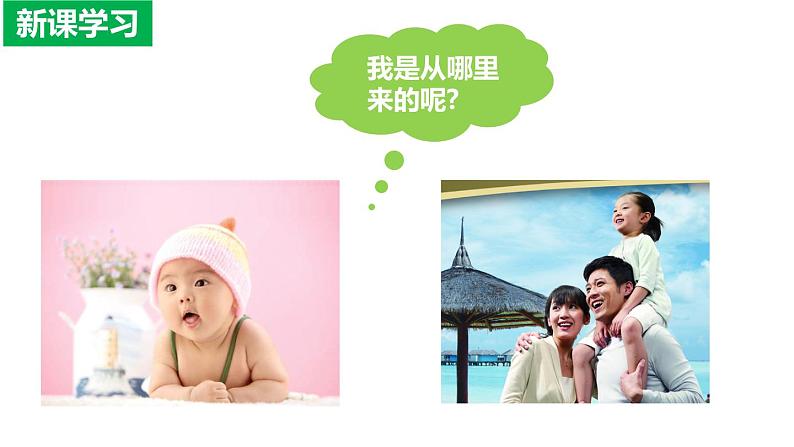 4.1.2人的生殖(课件)2023--2024学年人教版生物七年级下册第4页