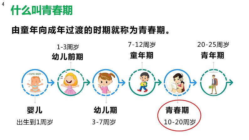 4.1.3 青春期(课件)2023--2024学年人教版生物七年级下册04