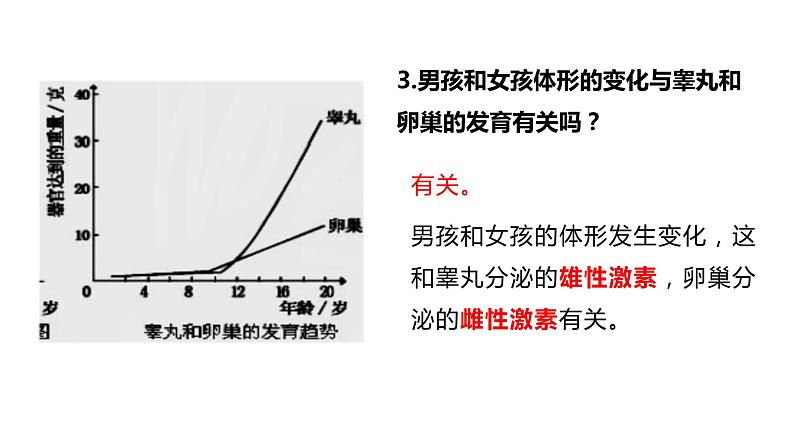 4.1.3 青春期(课件)2023--2024学年人教版生物七年级下册06