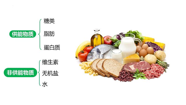 4.2.1食物中的营养物质(课件)2023--2024学年人教版生物七年级下册第5页