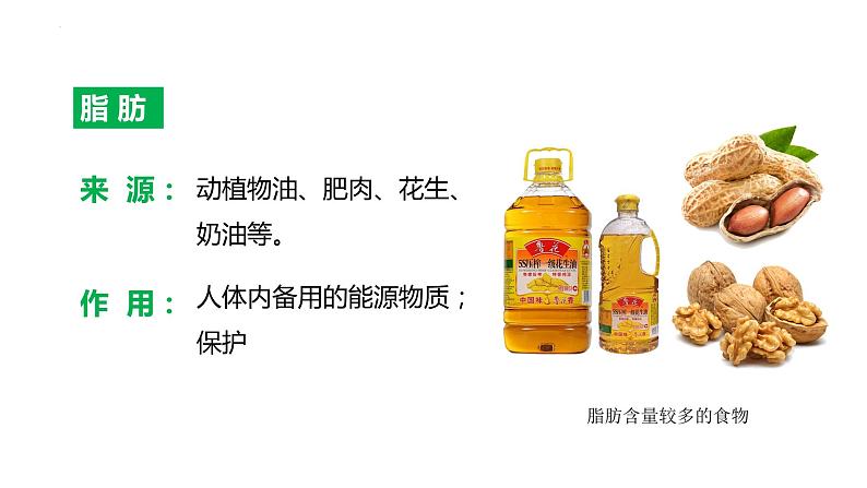 4.2.1食物中的营养物质(课件)2023--2024学年人教版生物七年级下册第7页