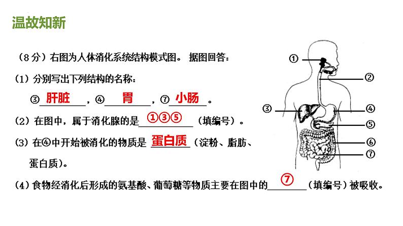 4.2.3合理营养与食品安全(课件)2023--2024学年人教版生物七年级下册第1页