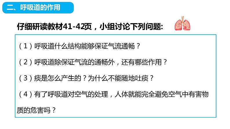 4.3.1呼吸道对空气的处理课件(课件)2023--2024学年人教版生物七年级下册第5页