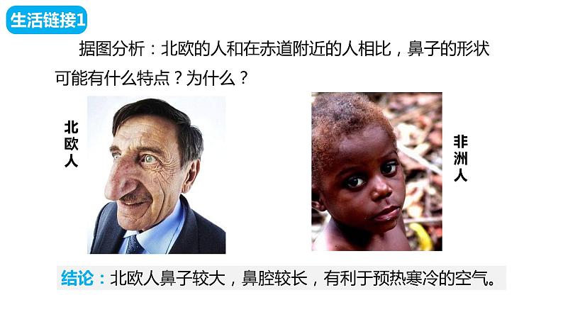 4.3.1呼吸道对空气的处理课件(课件)2023--2024学年人教版生物七年级下册第8页